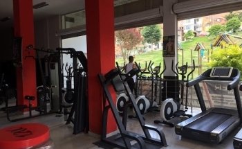 Powergymparis