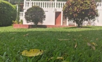 FINCA 432 v. mariana