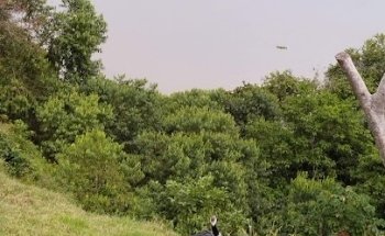 Centro Recreativo Las palmas