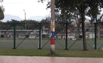 gimnasio champions