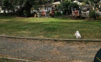 El Vergel