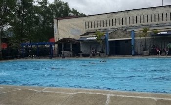 Natacion