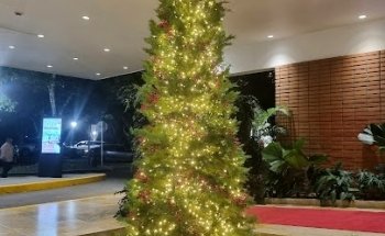 Piscina grande del Campestre