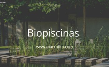 Macrofito Ingeniería Verde
