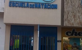 Escuela De Natación GAMA