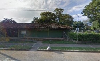 Escuela de natacion delfines