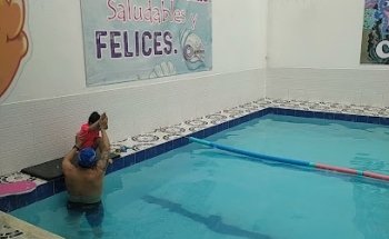 Olympus Chia Natación