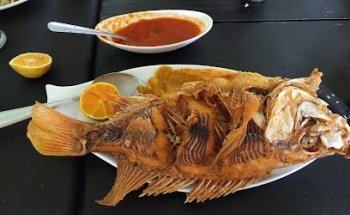 Pesca Deportiva Los Potrillos