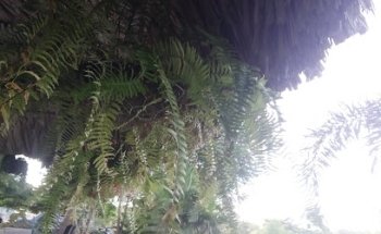 Centro Recreativo Casanare