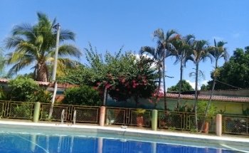 Leño Verde