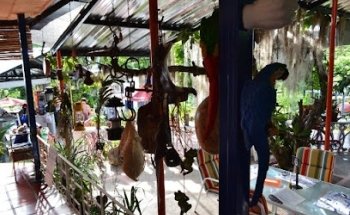 Hotel Costello Campestre, Garzón Huila