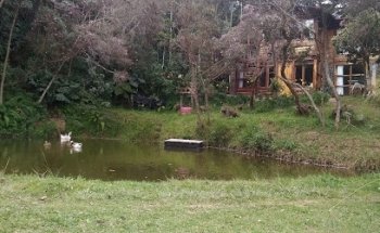 FINCA EL PARAÍSO