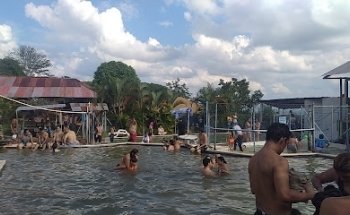 La patasola