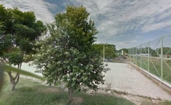 Polideportivo Las Margaritas