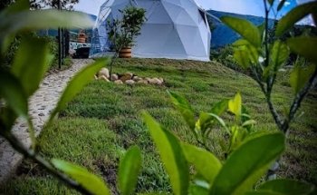 Eclipse Glamping