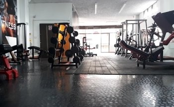 Muscle Fitness Gym