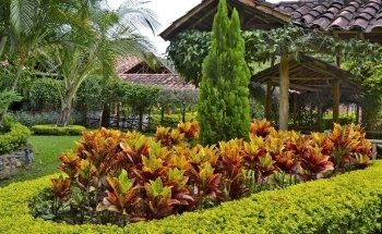 HOTEL CAMPESTRE UMPALÁ