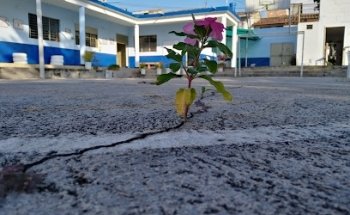 Parque De Ejercicios