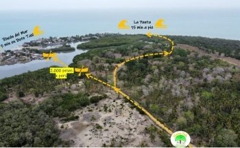 Mango Feliz - Rincon del Mar