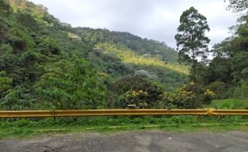 Punto de información Termales Santa Rosa