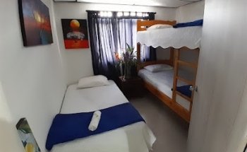 Mago Turismo