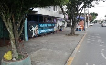 Training Body Gym