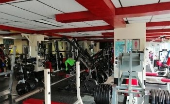 GYM PLUS GIMNASIO