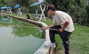 Pesca deportiva los mangos