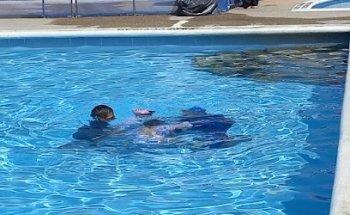 Escuela de natación The Best Friends