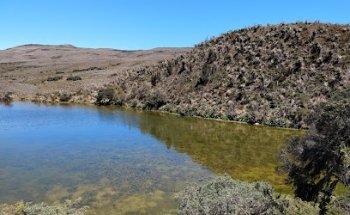 Páramo De Sumapaz