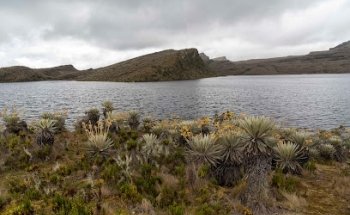 Parque Nacional Natural Sumapaz
