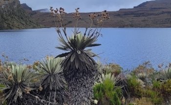 Laguna de Los Tunjos