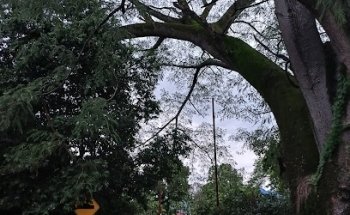 Polideportivo las ferias