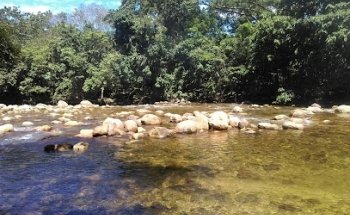 Balneario Río La Macaguana
