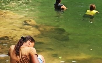 Saltillo el Loro - Alto