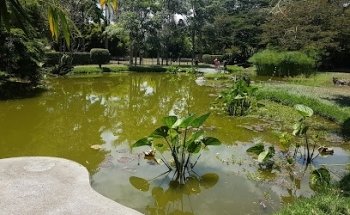 Parque Carlos Sarmiento Lora