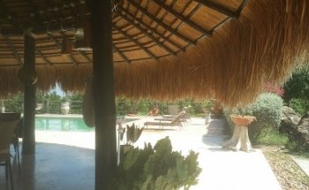 Villa del campo farms