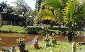 Parcela el Palmar