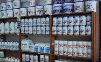 Piscilandia SAS