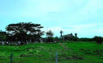 Parque Recreacional El Pulpo