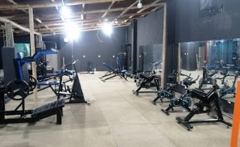 The Bull's Gym
