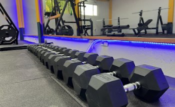 Workout Fitness GYM