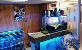 centro de micropigmentacion profesional joav body art.