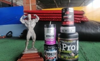 Gemelos Gym