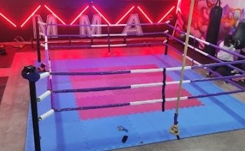 STREET FIGHTER MMA