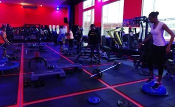 AnimalX-Apartadó_SISTEMA DE ENTRENAMIENTO EFECTIVO