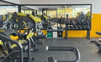 Scultural Force Gym