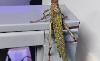 Bodytech Arrayanes Rubiales