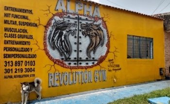 ALPHA REVOLUTION GYM