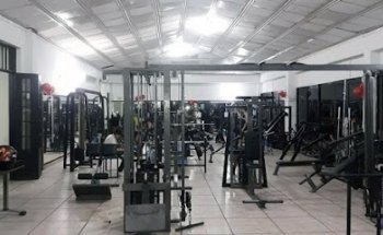 Vital Fitness Lérida